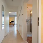 A Casa Mia By Kamelu Apartment Gengenbach