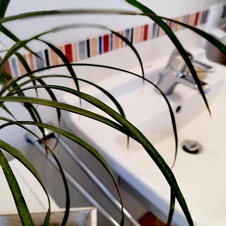 Casa Mia By K A M E L U *