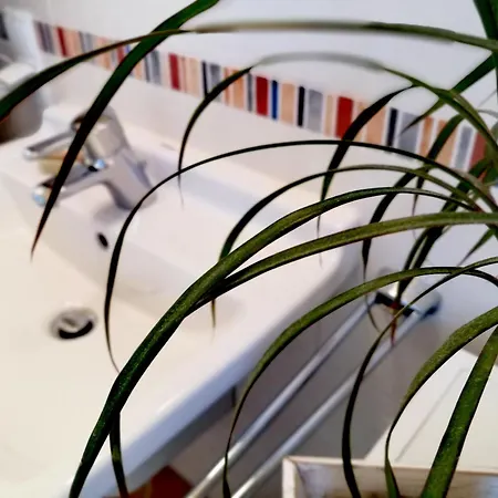 Casa Mia By K A M E L U 哥根巴赫